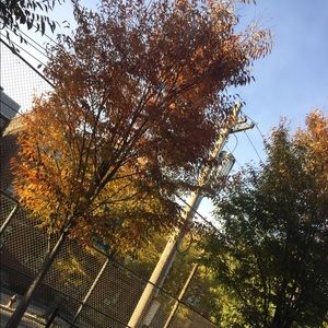 Meet your Posher, Daidaiana